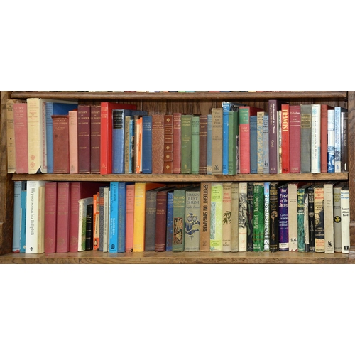 640 - Books. Twelve shelves of general stock, late 19th c and later, including Italian art and history, Br... 