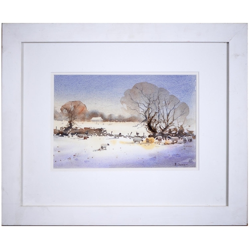 725 - Peter Cronin (contemporary) - Sheep in the Snow, signed, watercolour, 21.5 x 33cm