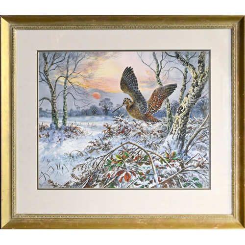 792 - Carl Donner (1957- ) - Woodcock in Winter, signed, watercolour, 47.5 x 59.5cm