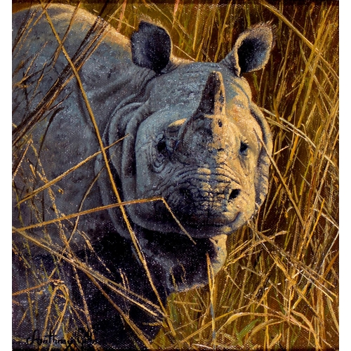 810 - Anthony Gibbs (1951- ) - Bengal Tiger; Leopard; Bengal Eagle Owl; Great Indian Rhinoceros; Indian El... 