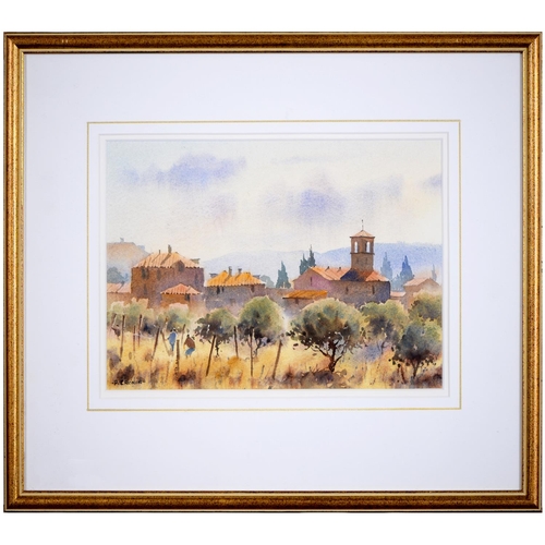 871 - Peter Cronin RSMA (1963- ) - Olive Grove in Tuscany, signed, watercolour, 22.5 x 32.5cm... 