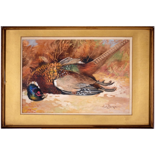 881 - Reuben Ward Binks (1880-1950) - Pheasant, signed, watercolour and bodycolour over pencil, 21.5 x 32c... 