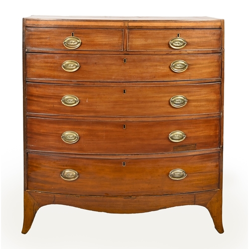Lot 798       