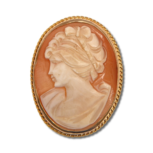Lot 27        