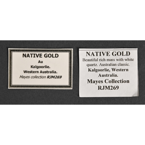 737 - Native gold, Vicinity of Kalgoorlie, Western Australia, lustrous, rich, yellow mass attached to some... 