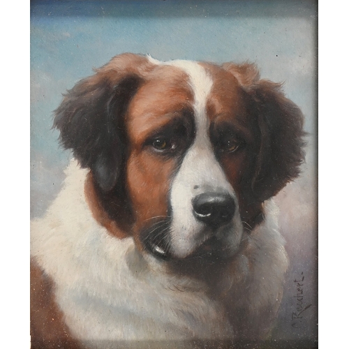 685 - Carl Reichert (1836-1918) - Study of a&nbsp;Saint Bernard, head-and-shoulders length, signed, oil on... 