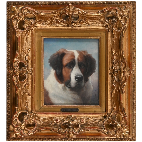 685 - Carl Reichert (1836-1918) - Study of a&nbsp;Saint Bernard, head-and-shoulders length, signed, oil on... 