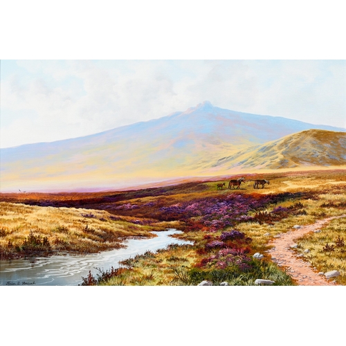 649 - Brian Horswell (b. 1939) - Horses in Bellever Forest; Ponies on a Moor, two, signed, oil on canvases... 