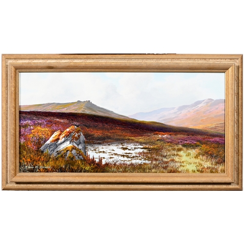 652 - Brian Horswell (b. 1939) - Moorland in Springtime, signed, oil on canvas, 24.5 x 50cm... 