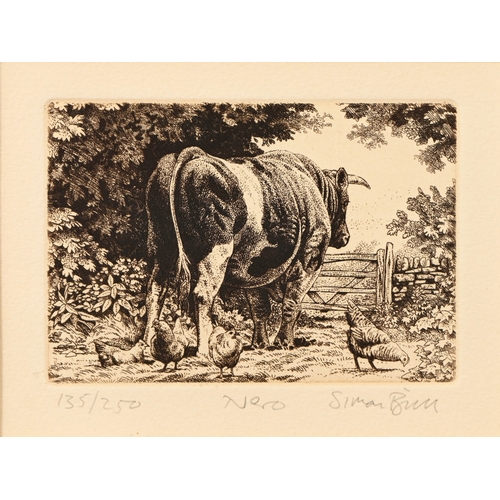 668 - Simon Bull (b. 1958) - Nero, signed, titled and numbered 135/250 in pencil by the artist, etching, 1... 