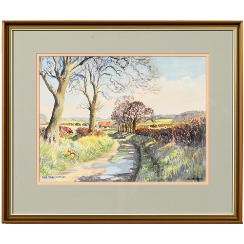 668 - Simon Bull (b. 1958) - Nero, signed, titled and numbered 135/250 in pencil by the artist, etching, 1... 