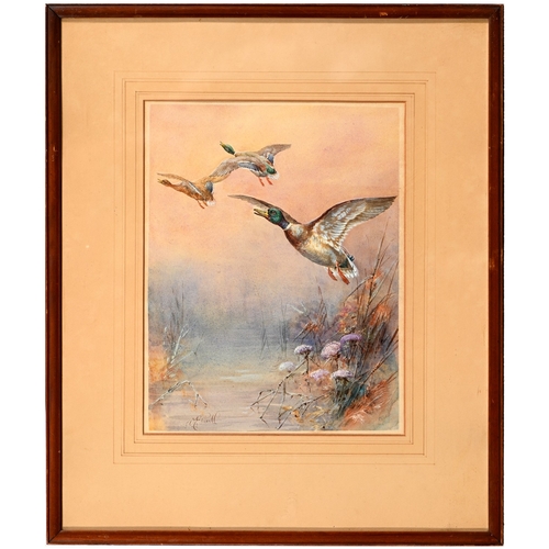 602 - William E. Powell (Royal Worcester Artist; 1878-1955) - Mallards in Flight, signed, watercolour and ... 