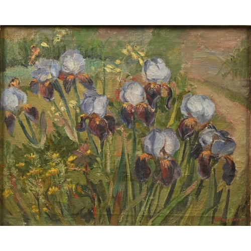 637 - G*** Evans, mid-20th century - Irises, signed, oil on canvas, 40 x 50.5cm