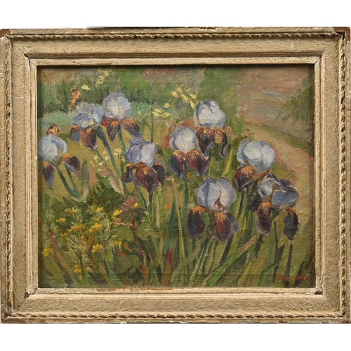 637 - G*** Evans, mid-20th century - Irises, signed, oil on canvas, 40 x 50.5cm