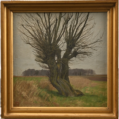 639 - Modern British Artist, mid-20th century - Pollarded Tree, monogrammed MJ, oil on panel, 33 x 33cm... 
