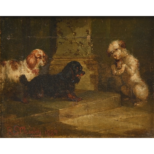 658 - R.S. Moseley, late 19th century - Two Spaniels and a Pleading Terrier, signed and dated 1889, oil on... 
