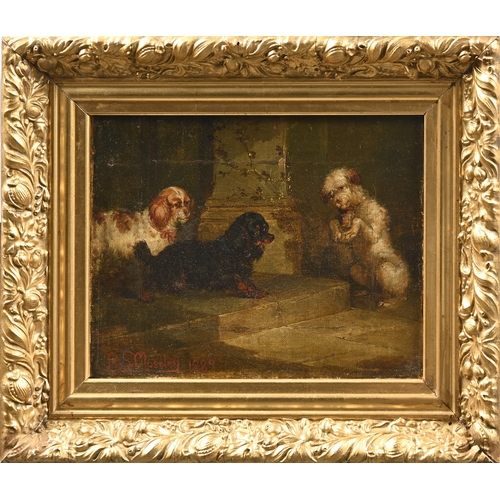 658 - R.S. Moseley, late 19th century - Two Spaniels and a Pleading Terrier, signed and dated 1889, oil on... 