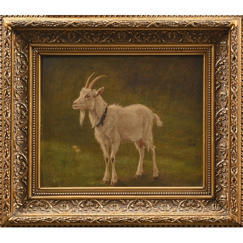 677 - Danish School, second-half 19th century - Study of a White Billy Goat, monogrammed APM and&nbsp;date... 