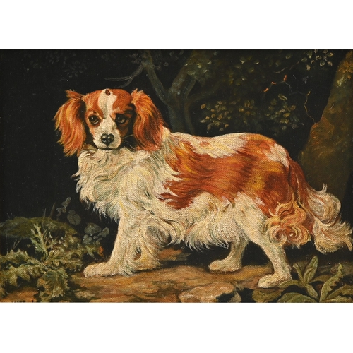 Lot 694       