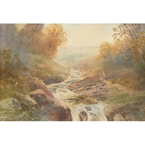 Lot 705       