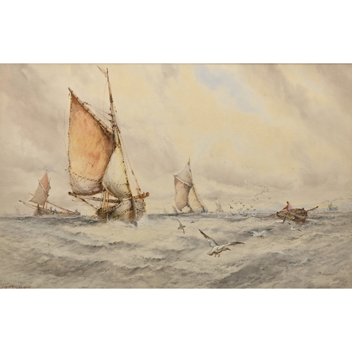 Lot 706       