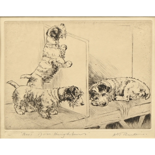 Lot 708       