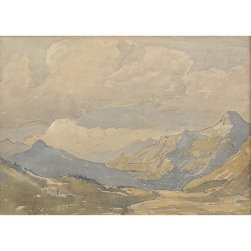 Lot 709       