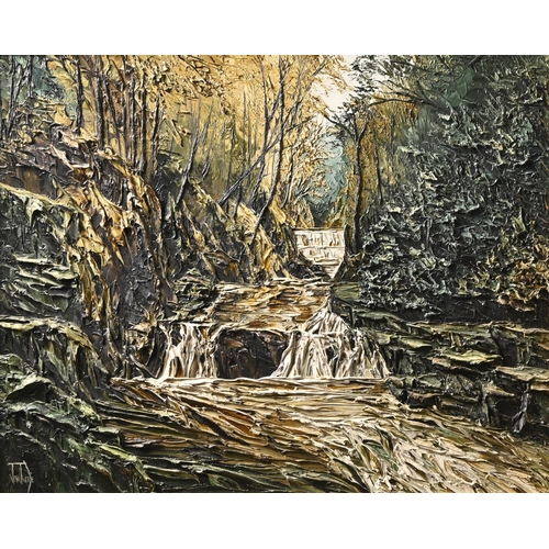 Lot 713       