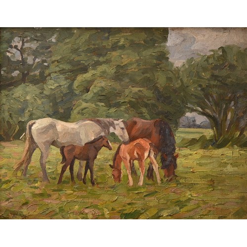 Lot 702       