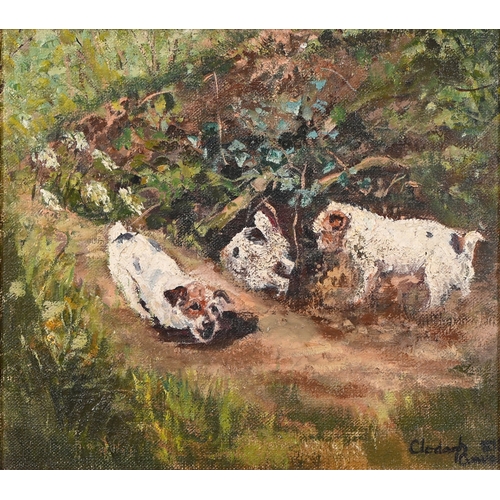 239 - Clodagh Cave &ndash; Three Terriers at a Rabbit Hole, signed and indistinctly dated, oil on canvas, ... 