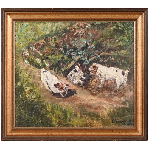 239 - Clodagh Cave &ndash; Three Terriers at a Rabbit Hole, signed and indistinctly dated, oil on canvas, ... 