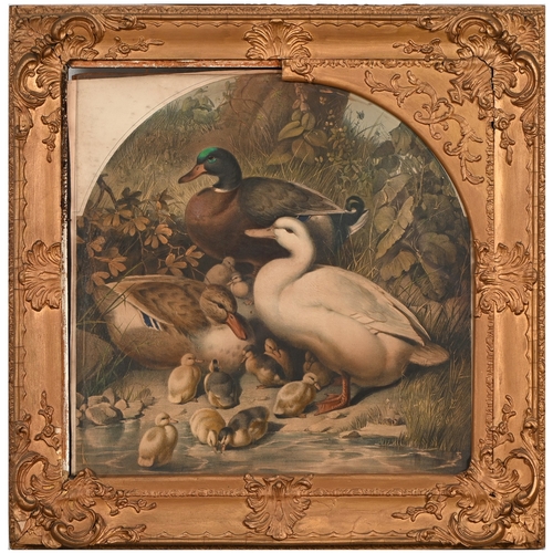 295 - A set of nine gilt and composition shaped square frames, c1870, enclosing Victorian chromolithograph... 