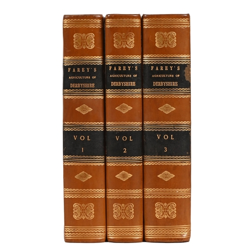 51 - Derbyshire. Farey (John, Senior, Mineral Surveyor of Upper Crown Street, Derbyshire), General View o... 