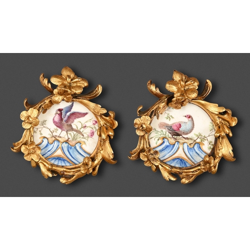 Lot 294       
