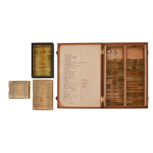 Lot 515       