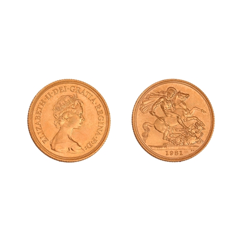 80 - Gold coin. Elizabeth II, Sovereign 1981NO BUYER'S PREMIUM ON THIS LOT... 
