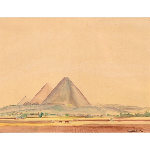 Lot 501       