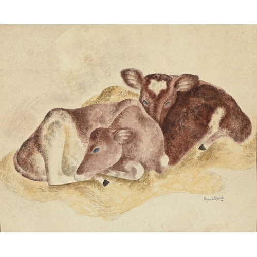 Lot 504       