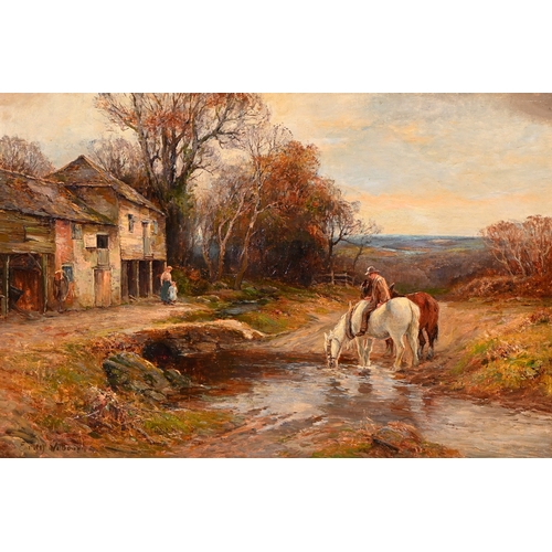 Lot 515       