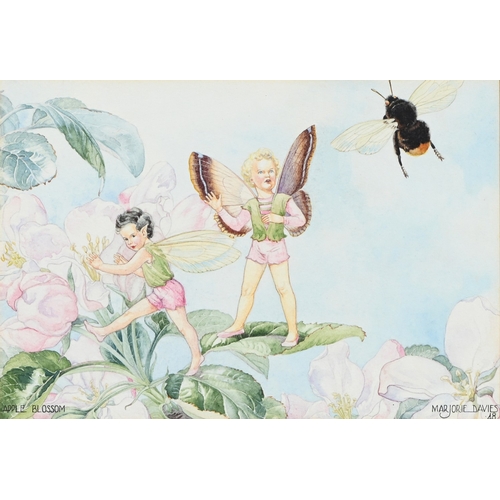 Lot 529       