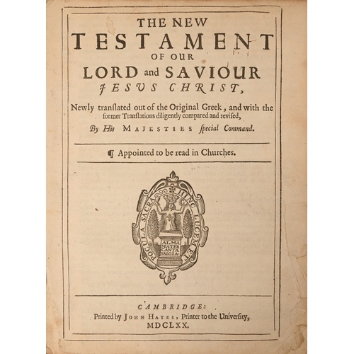 Lot 26        