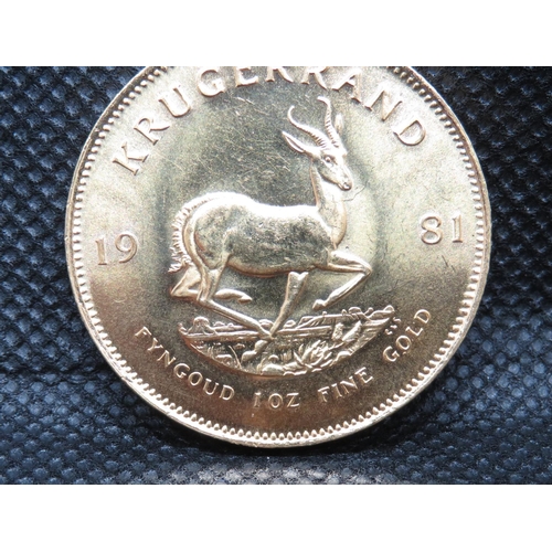 12 - 1981 1oz full Krugerrand