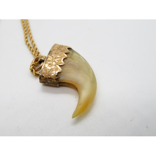 170 - High carat gold chain with Lion's claw - weight 5g