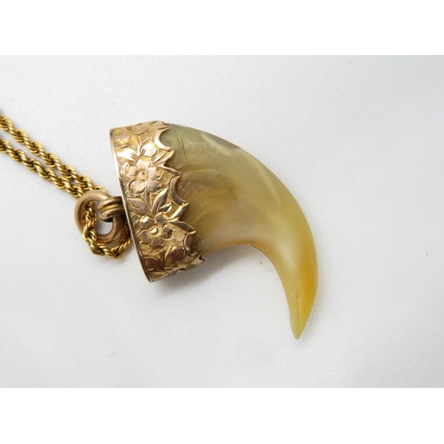 170 - High carat gold chain with Lion's claw - weight 5g
