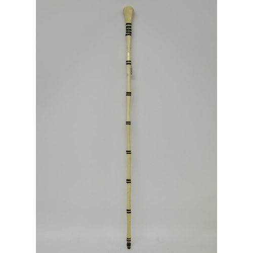 385 - Ivory and horn walking stick - very early