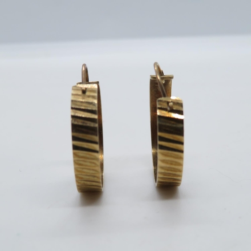 161 - 9ct set of earrings 2.1g