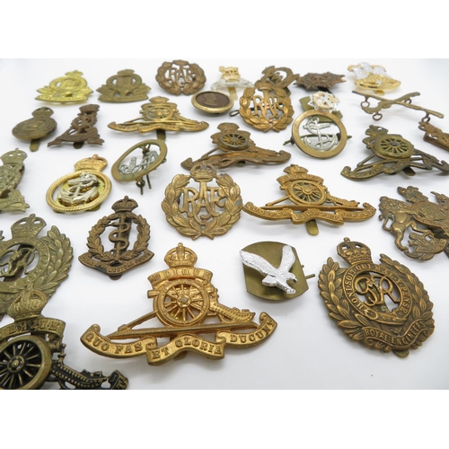 251 - Military cap badges 333g