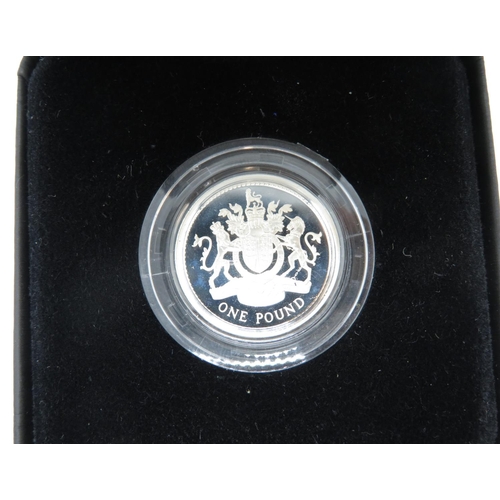 383 - 2008 silver proof £1 coin