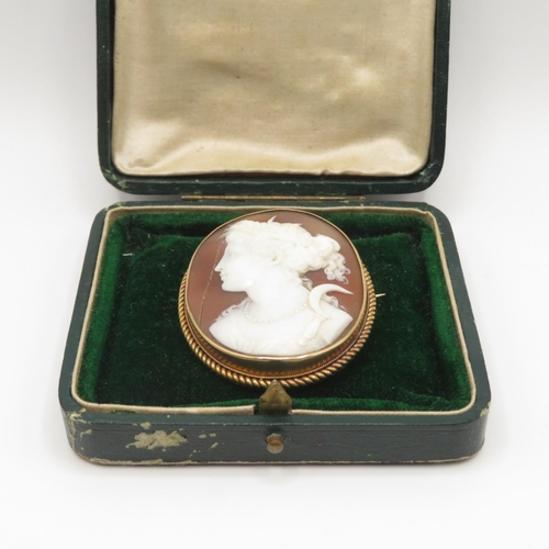 9 - 15ct boxed cameo brooch with glass back mid-Victorian  25.2g