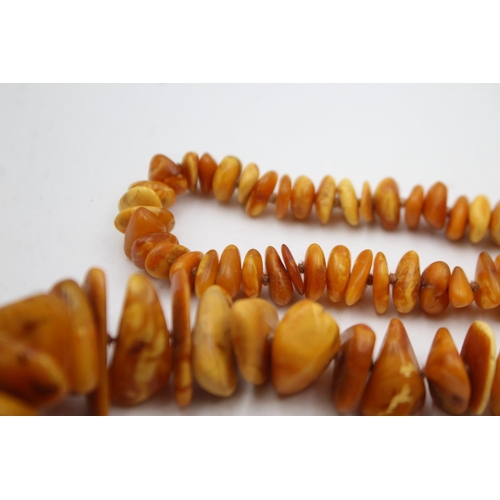 347 - Graduated Baltic & Butterscotch Amber Necklace (68g)